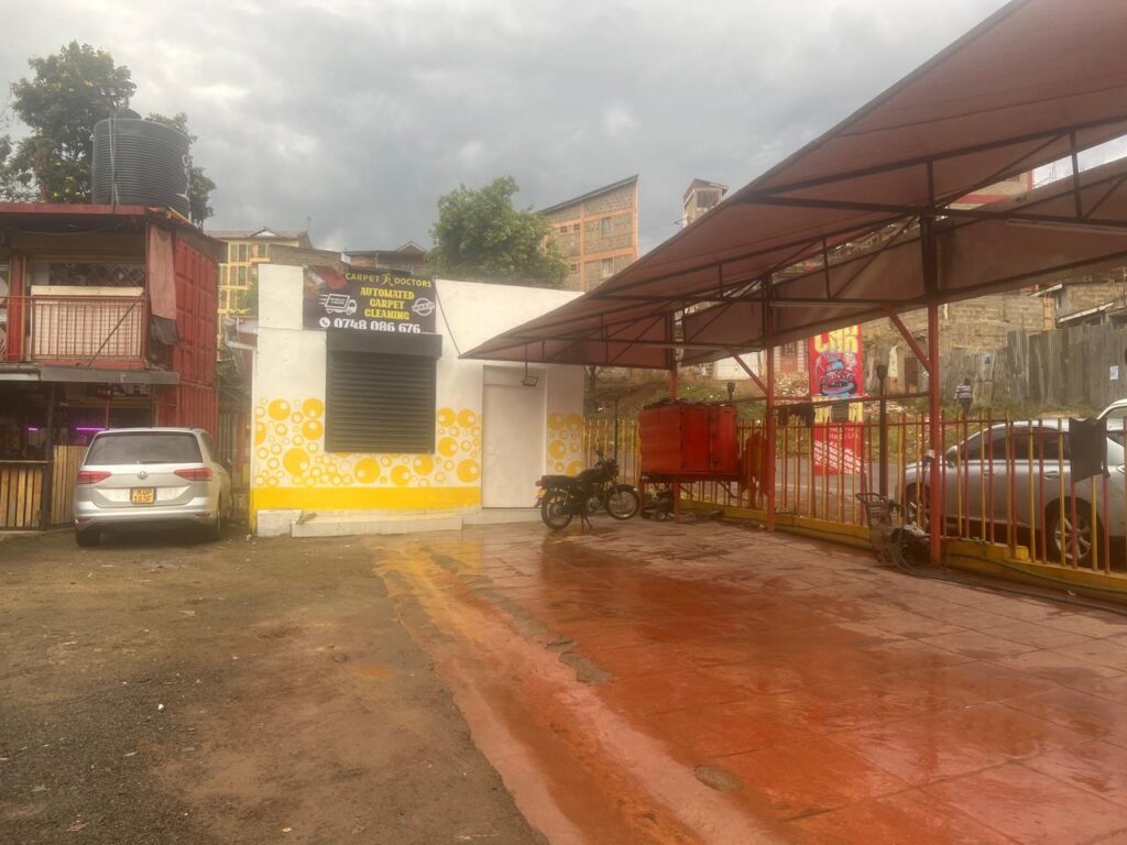 Professional Carpet care